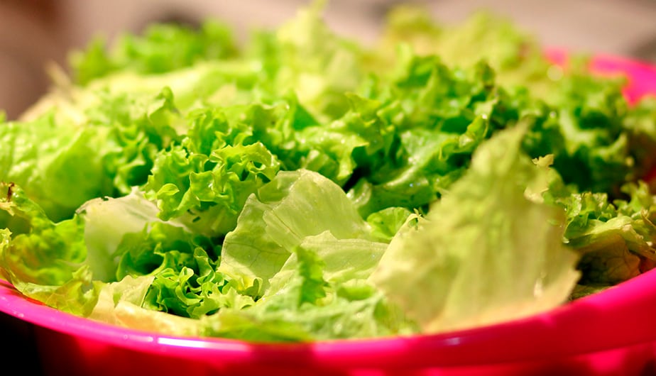 Trucos caseros | La lechuga pierde su sabor al entrar en contacto con el cuchillo de metal, por lo que deben emplearse otros métodos para cortarla. (Foto: Pixabay)
