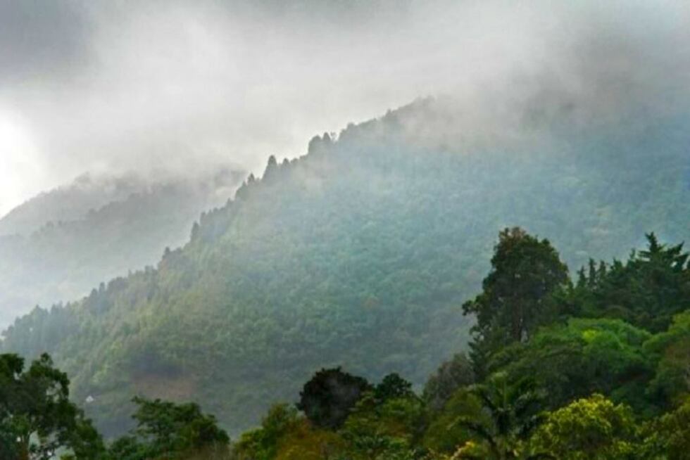 Senamhi advierte de se espera cobertura nubosa, lluvia y ráfagas de viento con velocidades próximas a los 45 km/h. Foto: Andina