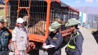 El Perú ya es libre de animales salvajes en circos, según ADI