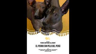 El perro sin pelo peruano llega al Teatro Mario Vargas Llosa