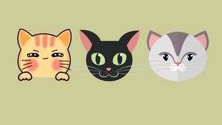 Conoce cuál es tu don más grande con solo elegir uno de los tres gatos de la imagen