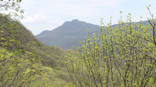 Reconocen Primera Área de Conservación Privada en Morropón