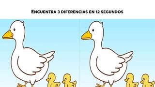 Encuentra las 3 diferencias entre las imágenes de patos y patitos en solo 12 segundos