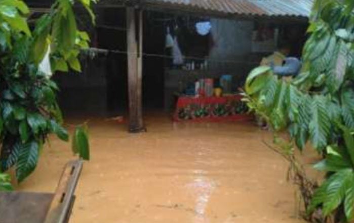 En Junín , el gobierno local realiza la evaluación de daños tras las intensas lluvias registradas hoy que ocasionaron daños a viviendas en el distrito y provincia de Satipo . Según informó el COEN , la emergencia no registró daños a la vida ni a la salud de las personas.