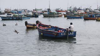 Reabren todos los puertos en el litoral peruano, pero se mantiene alerta por oleajes