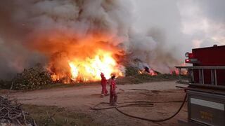 Áncash: incendio en Nepeña consume 35 hectáreas de pastizales