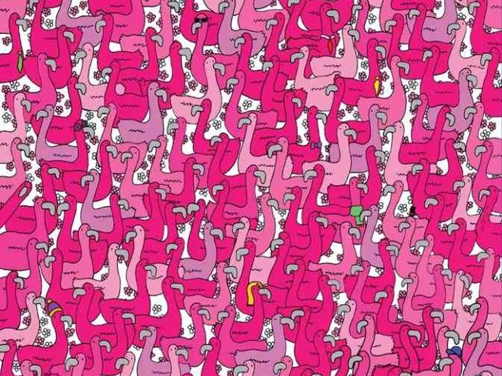 RETO VISUAL | Observa atentamente la imagen que aparece a continuación y encuentra el pequeño corazón que se esconde entre los flamencos. | Dudolf