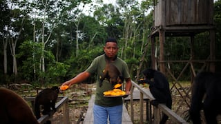 André Vela, el joven pucallpino que busca salvar a la flora y fauna local del tráfico de animales y la tala ilegal