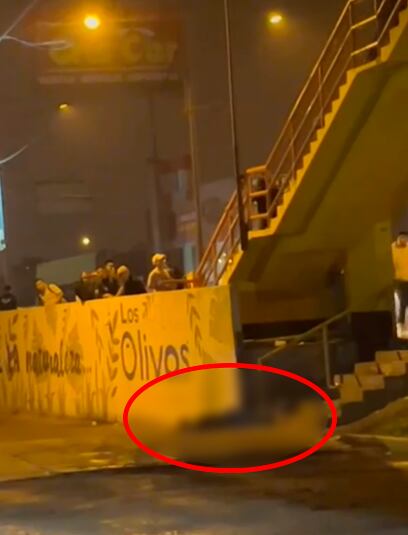 El joven cayó contra el pavimento luego de ser empujado por un grupo de desconocidos