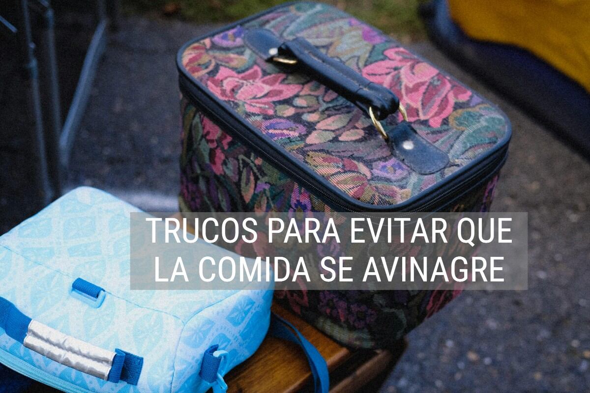 La comida que se lleva a la escuela o el trabajo puede avinagrarse si no se tiene en cuenta algunos pasos. (Foto: Pexels/Mathias Reding).