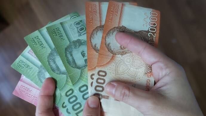 Te contamos qué es el Bono Invierno en Chile, cuándo se cobrará, y a cuánto ascenderá el beneficio económico otorgado por el gobierno a través del IPS. (Foto: Gob.cl)