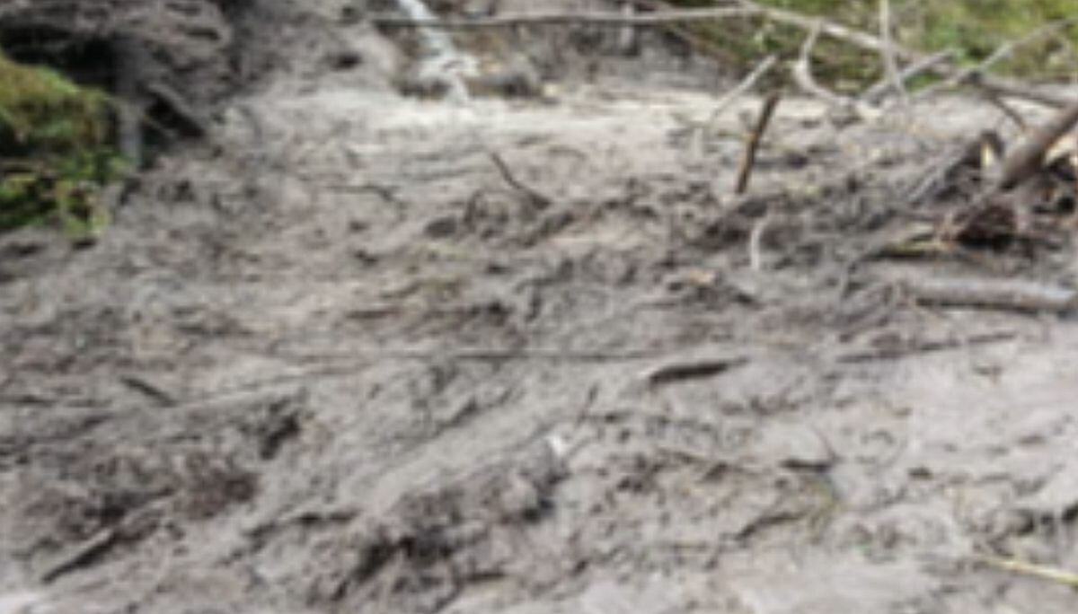 En Pasco , la Municipalidad Distrital de Huachón , de la provincia y departamento de Pasco , coordina los trabajos de limpieza y mantenimiento de la vía afectada en el C.P. Puagmaray, tras el huaico registrado en la mañana del martes 20 de enero. El COEN informa que el tránsito se encuentra restringido en la zona. El evento no registra daños a la vida y salud de las personas.