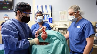 Tres cuestiones éticas en torno a los trasplantes de corazón de cerdo en humanos