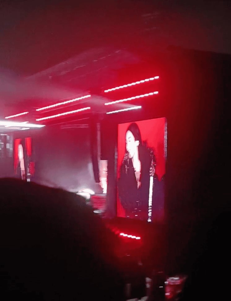 Mauricio Mesones se presentó en el escenario con Dua Lipa. En esa imagen, se le ve cantando a la artista el coro de la canción Cariñito al lado del peruano.