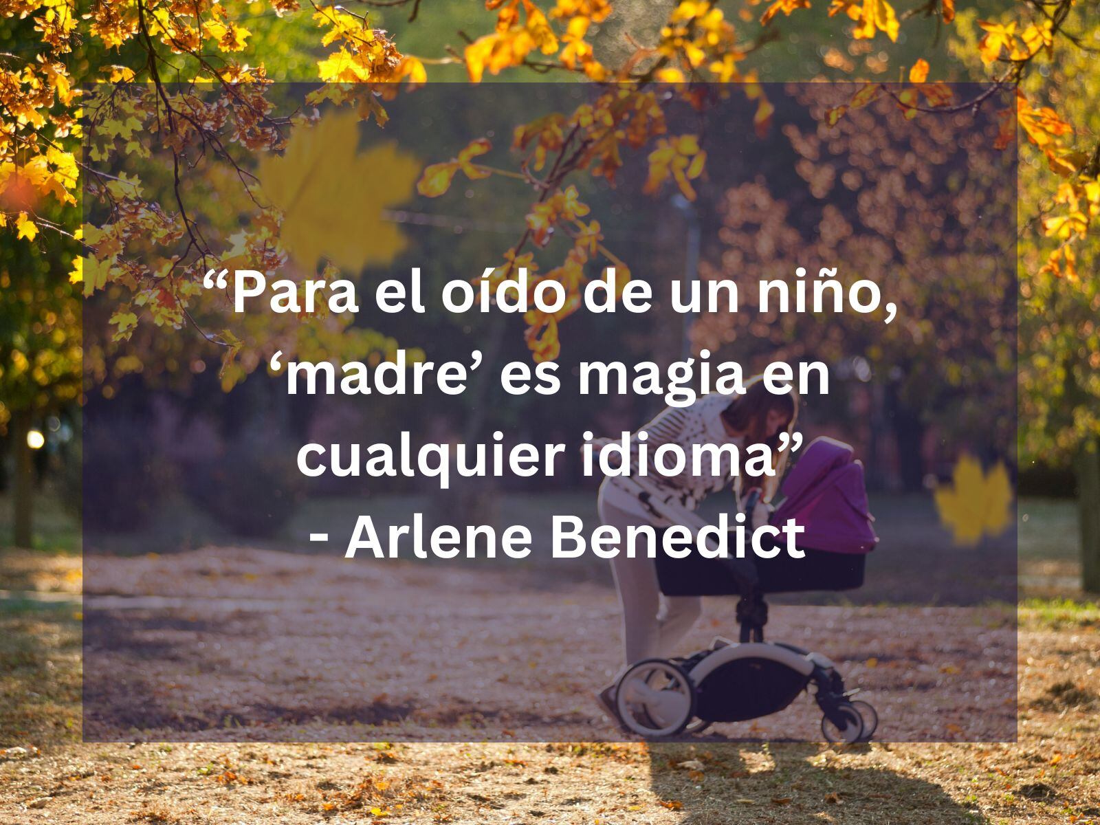 Estas son tarjetas por el Día de la Madre. (Archivo)