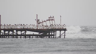 Alerta en Trujillo: colapsa parte del emblemático muelle de Huanchaco