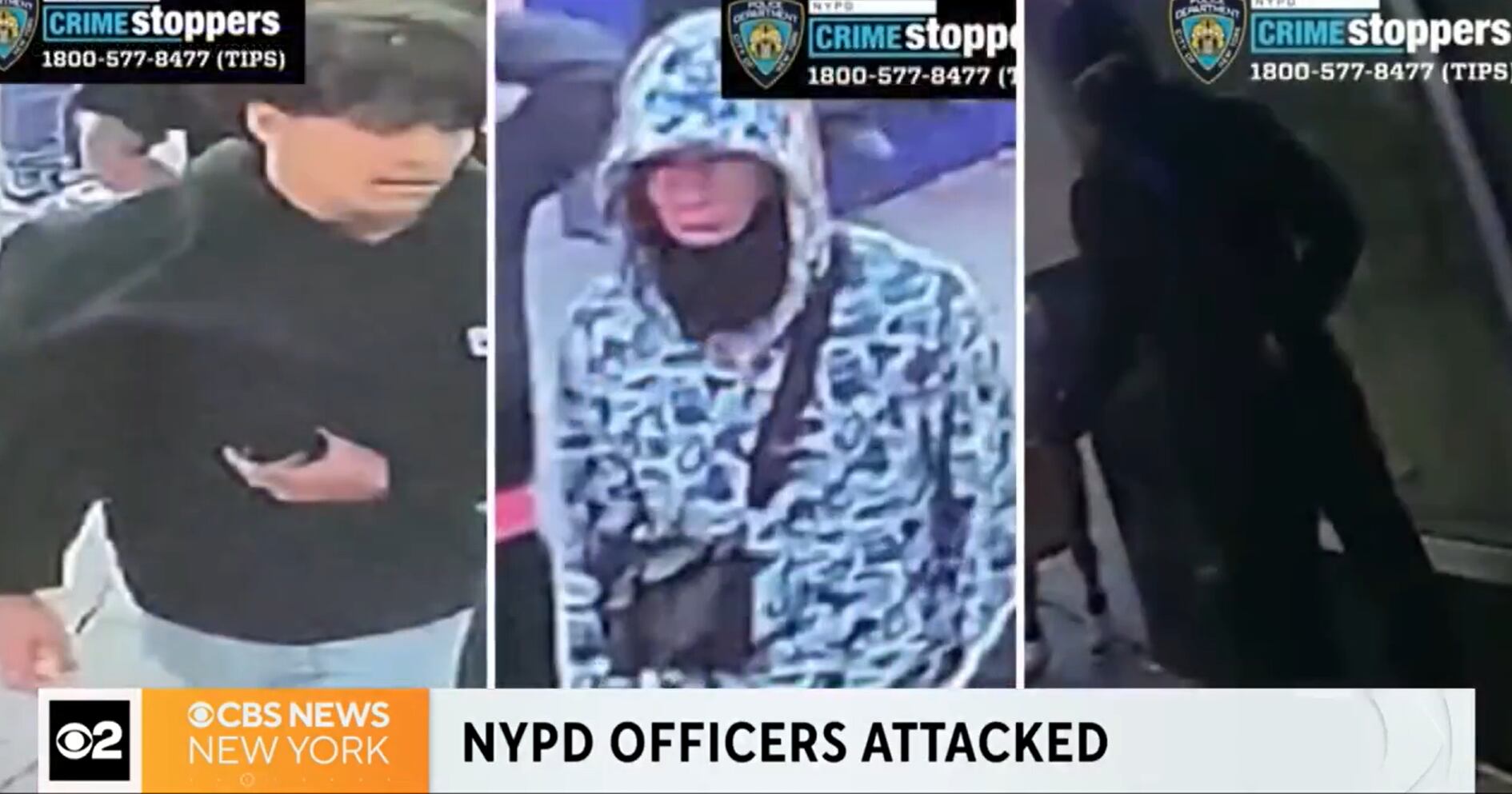 Según Adams, la pandilla es una rama de una violenta pandilla callejera venezolana (Foto: NYPD)