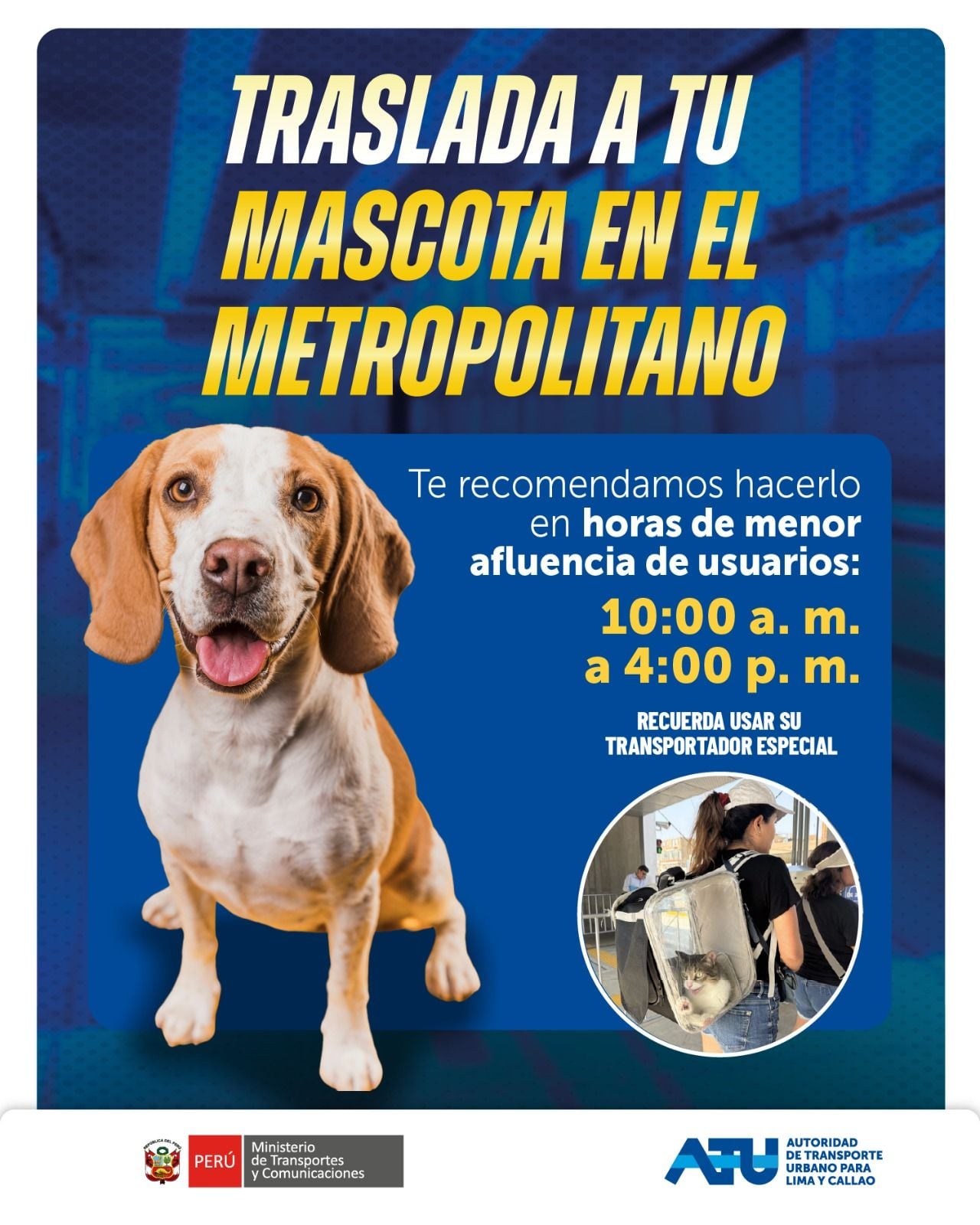 Puedes trasladar a tu mascota a bordo del Metropolitano . Recuerda utilizar correa o caja transportadora para su seguridad y la de los pasajeros.