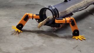 YouTuber crea patas robóticas para que las serpientes puedan “volver a caminar” | VIDEO