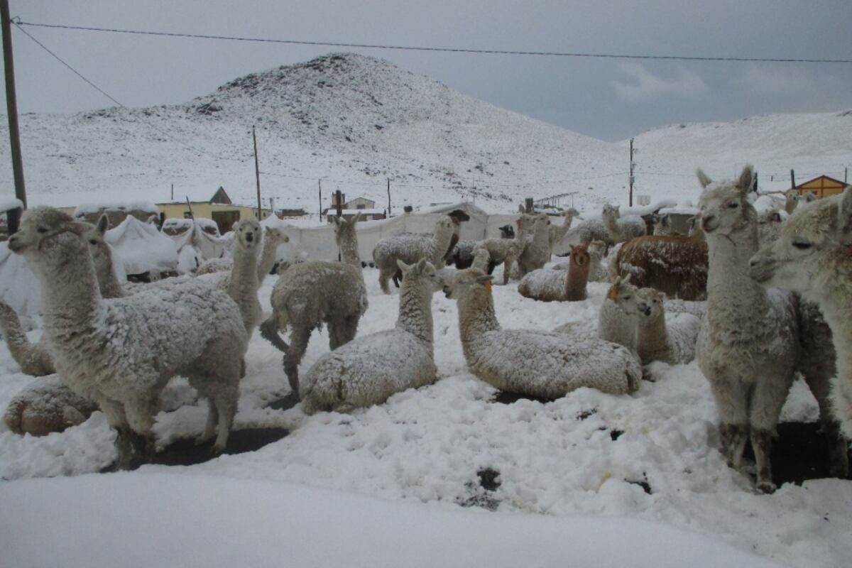Se prevé caída de granizo en localidades ubicadas por encima de los 2,800 m s.n.m. (Foto: Andina)