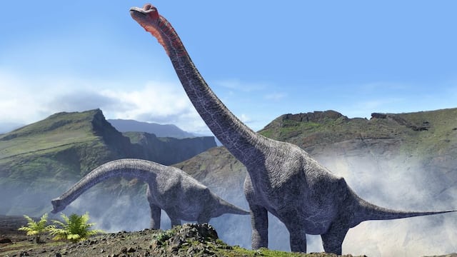 Paleontología | ¿Por qué en el Perú no se han hallado más fósiles de dinosaurios?