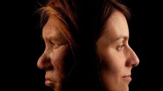 ¿La violencia o el sexo?: la investigación que busca descifrar qué acabó con los neandertales
