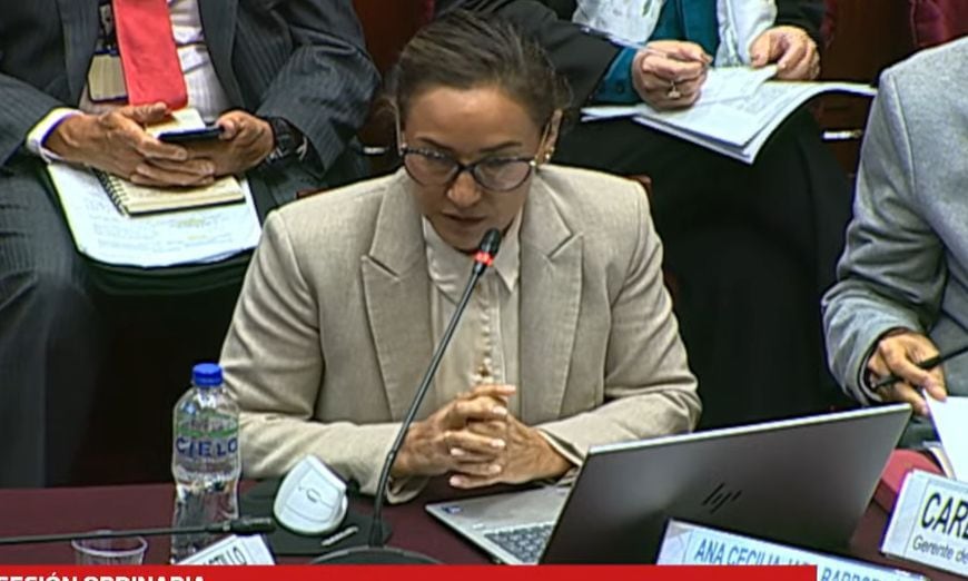 Ana Cecilia Jara, presidenta de la Asociación de AFP, expone en la comisión de Economía del Congreso | Captura de video