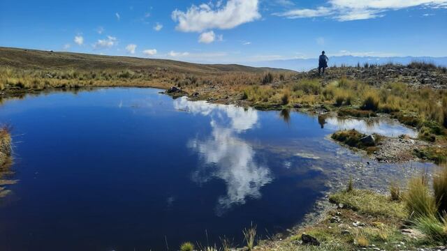 Ayacucho: invertirán más de s/ 32 millones en recuperar ecosistemas críticos para el agua 