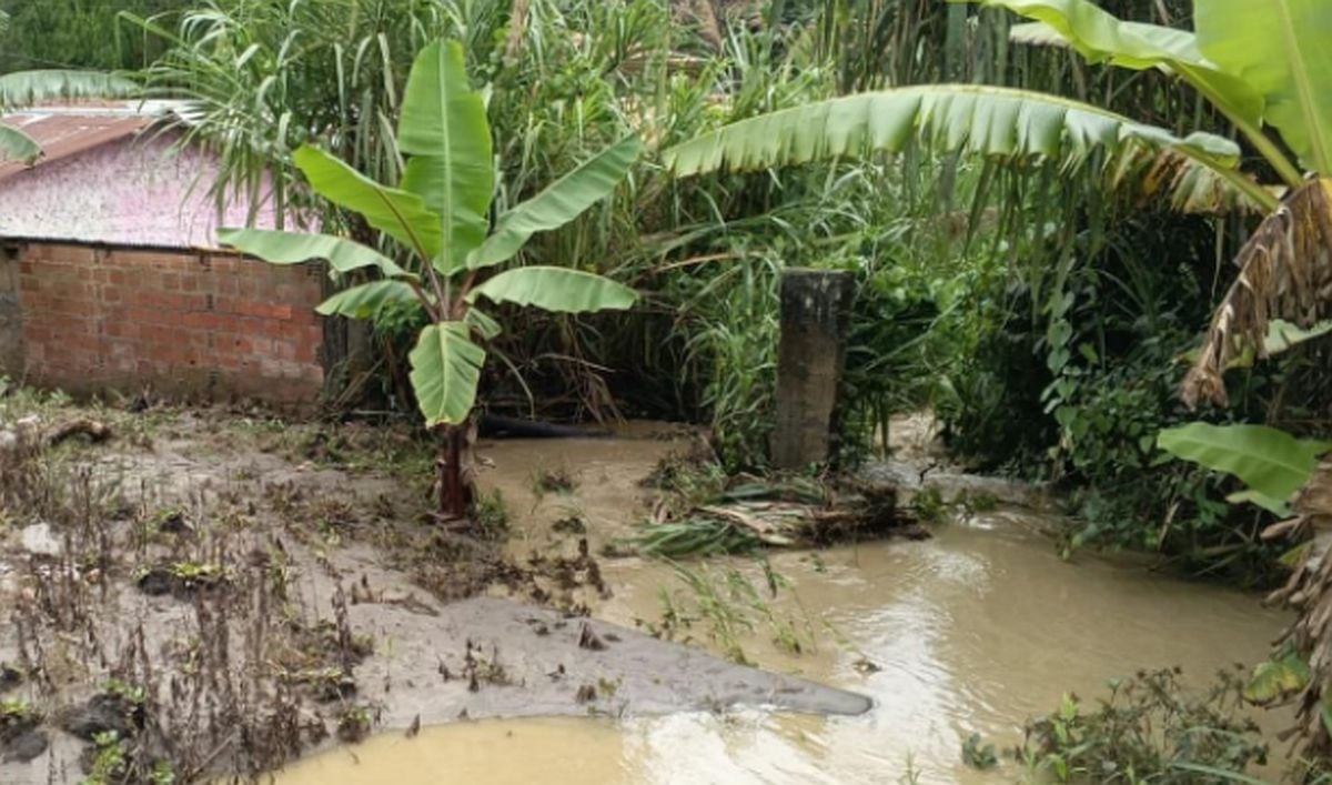 El municipio local ejecuta la evaluación de daños y coordina el apoyo con ayuda humanitaria, así como el envío de maquinaria pesada para la limpieza de la vía afectada, que permanece interrumpido. El evento causó daños también en viviendas.