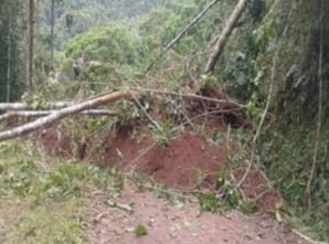 Se reporta derrumbe de cerro que afectó vía vecinal en el sector anexo Bajo Bocaz, distrito Villa Rica, provincia Oxapampa. El tránsito en esa zona se encuentra restringido.