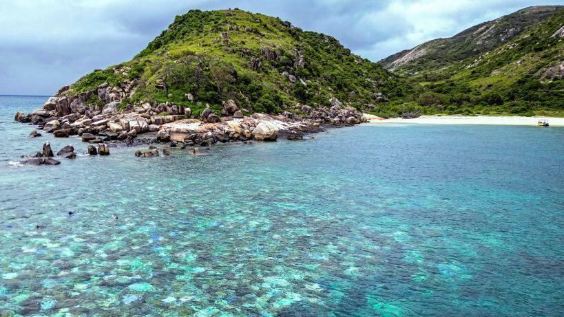 La isla Lizard está ubicada en la Gran Barrera de Coral de Australia. (Getty Images).