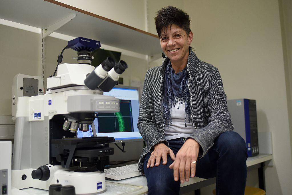 Jill Farrant lleva años estudiando plantas que puedan sobrevivir largos períodos sin agua