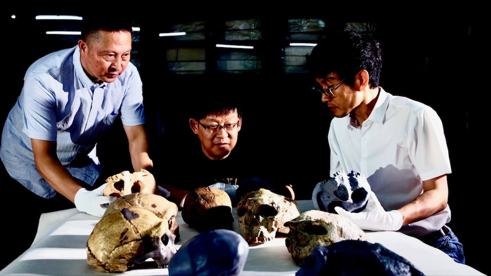 Los cráneos fueron descubiertos por un equipo chino en la provincia de Hubei, en el centro de China, que los comparó con otras especies humanas.