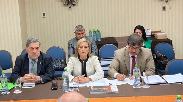 María del Carmen Alva se reunió con Grupo de Alto Nivel de OEA 