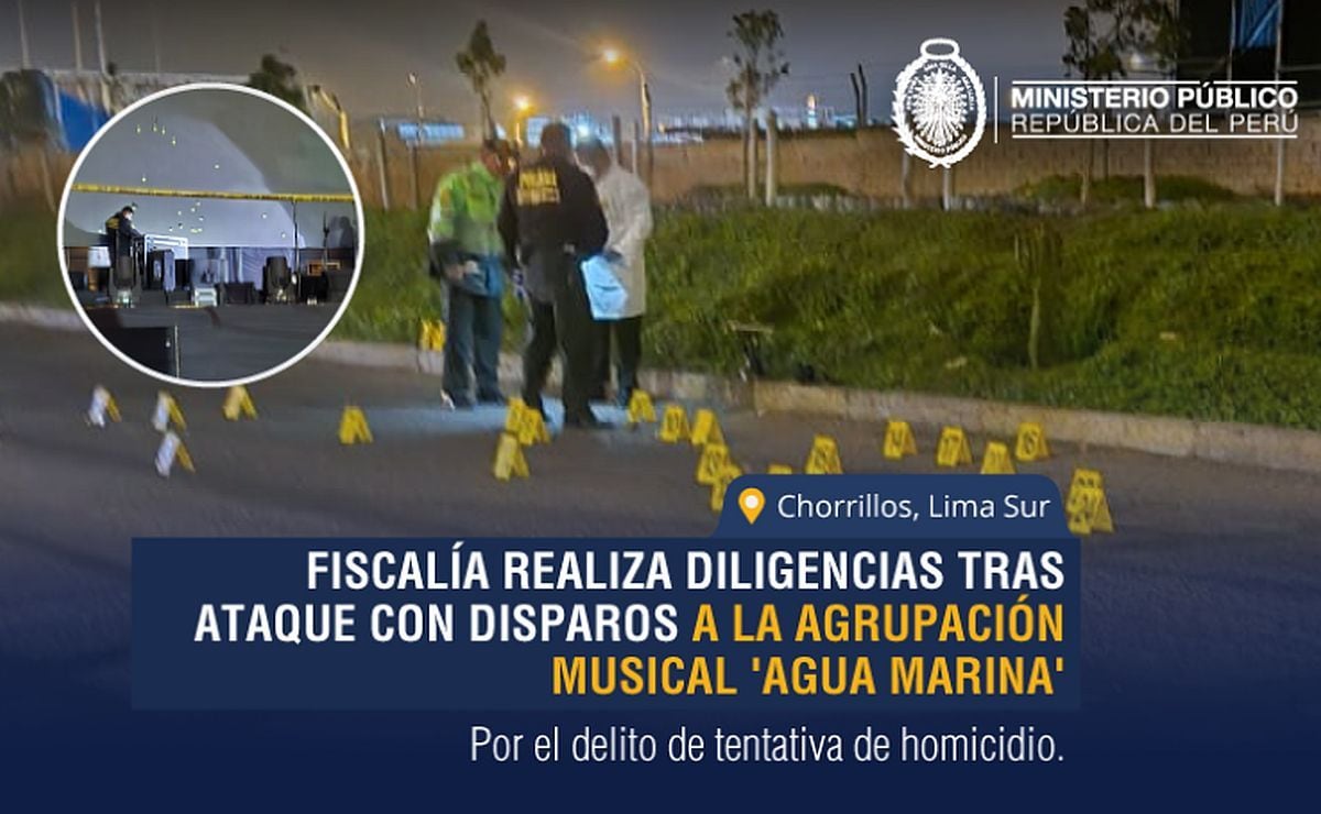 Asimismo, se ha constatado la existencia de aproximadamente 25 disparos y 23 impactos de bala en la pantalla del escenario. Los peritos determinaron que los disparos habrían sido efectuados desde el exterior del recinto donde se produjo el evento y por la espalda de las víctimas.