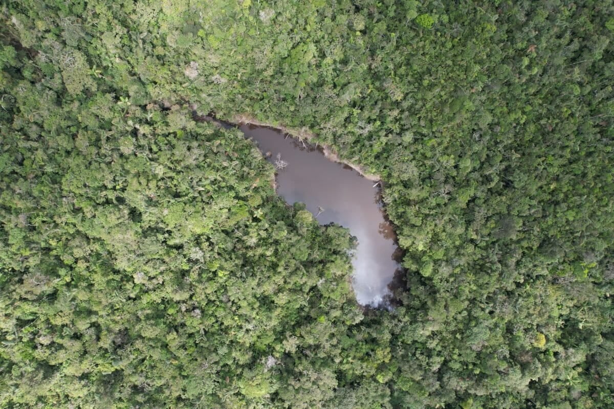 Vista aérea de la Cocha Encantada, en la Concesión para Conservación Sacha Runa. Foto: cortesía Diego Rado