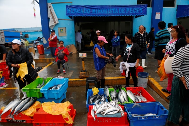 Una posible solución a la crisis de fertilizantes podría encontrarse en los tachos de basura del puerto de Chimbote.