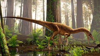 Descubren en Brasil uno de los antepasados más antiguos del Tyrannosaurus Rex