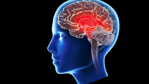 imagen de un cerebro humano