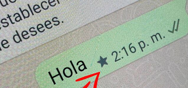 WhatsApp: cómo entrar a la sección de mensajes favoritos del 2024