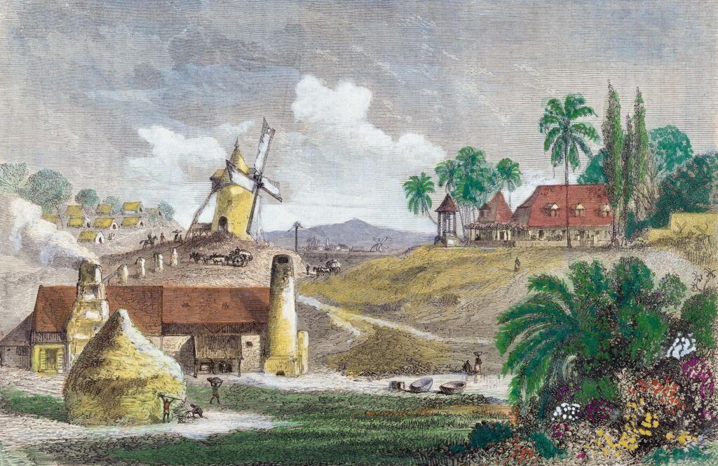 Plantación de caña en la Martinica colonial, al estilo de la que la familia de Josefina poseía.