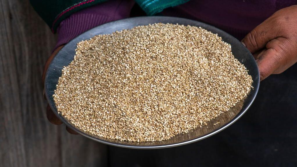 Una taza cocida de quinoa aporta unos 8 gramos de proteínas y 5 gramos de fibra.