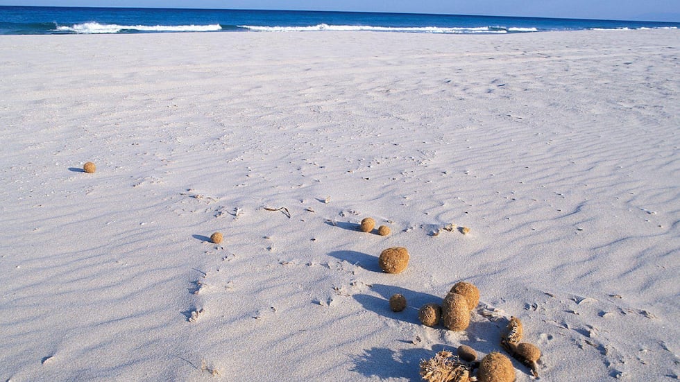 El fondo del mar recolecta la contaminación plástica que se origina en tierra firme.
