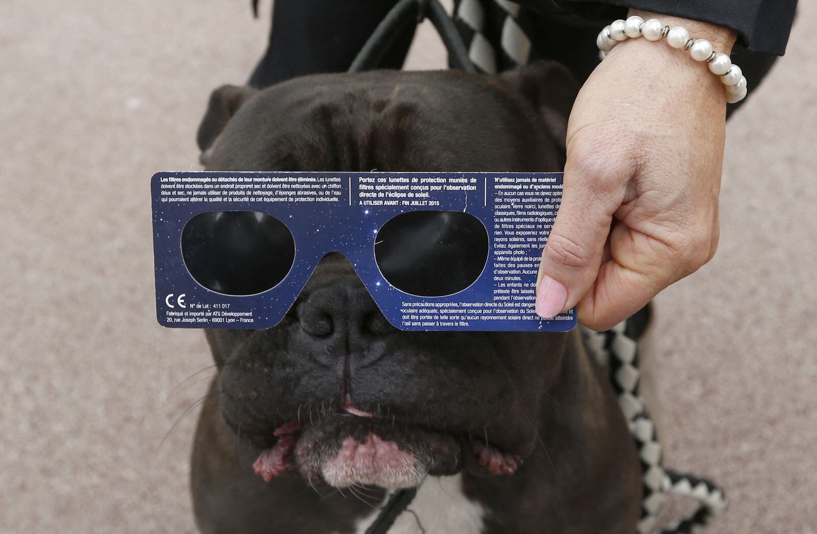 Los animales pueden verse afectados por el cambio que producen los eclipses (Foto: AFP)