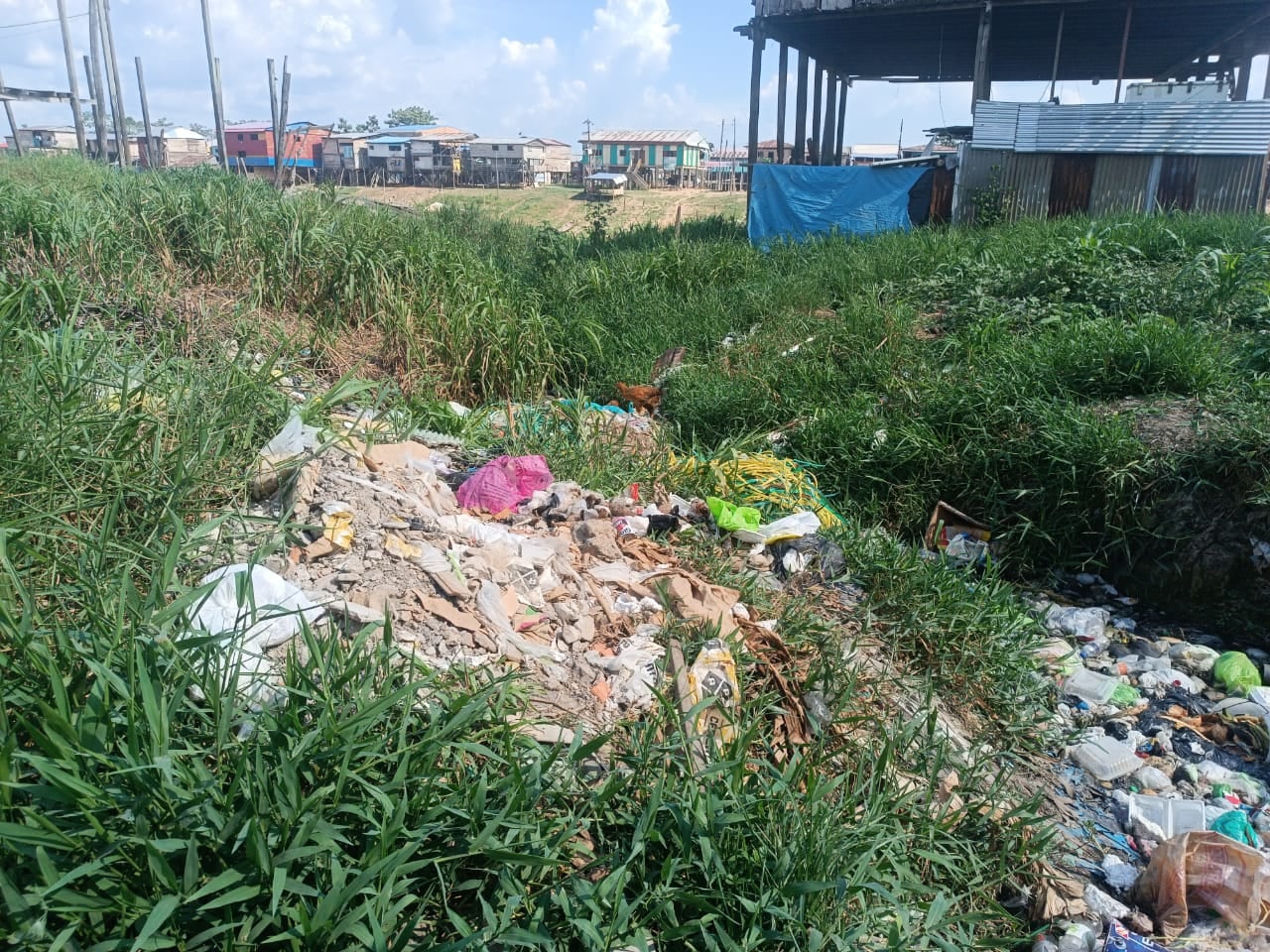 (Corresponsales escolares)