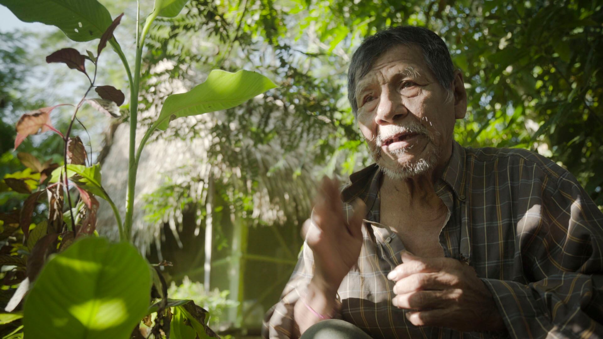 “Ino Moxo, el sueño del brujo”, docuficción peruana. (Foto: Difusión)