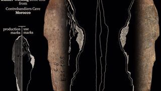 Científicos descubren que los antiguos humanos ya fabricaban ropa hace 120.000 años