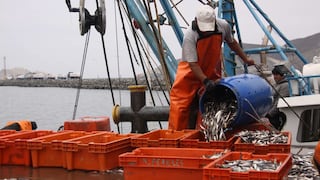 Produce aprueba régimen provisional para la pesca de merluza con límite de captura de 47.287 toneladas