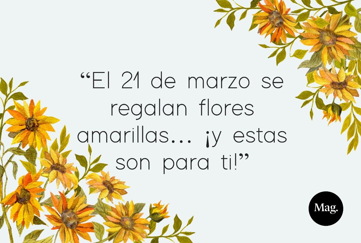 Si buscas frases únicas para regalar flores amarillas el 21 de marzo y hacer sonreír a esa persona especial, aquí encontrarás las mejores. | Crédito: Mag / Freepik