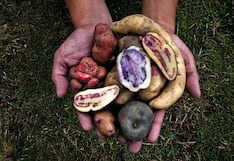 Perú, la despensa nutricionaldel mundo